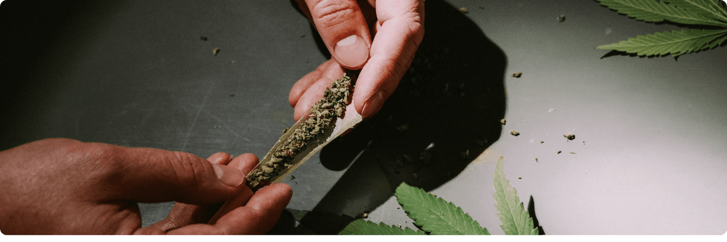 dependenci-maconha.png